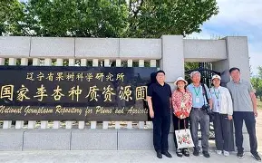 袠薪褑械褋裈hd